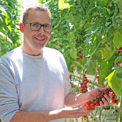 Bosshard Tomaten