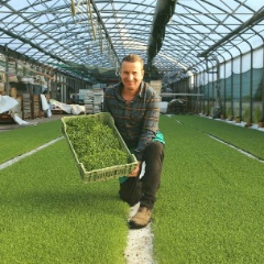 Kresse aus der Region von Andreas Eschbach