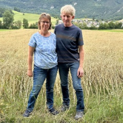 Feld_Gasser