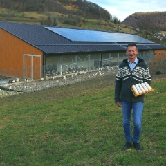 Eier aus Rothenfluh