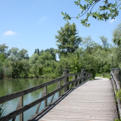 Park im Grünen