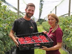 Fiechter Himbeeren