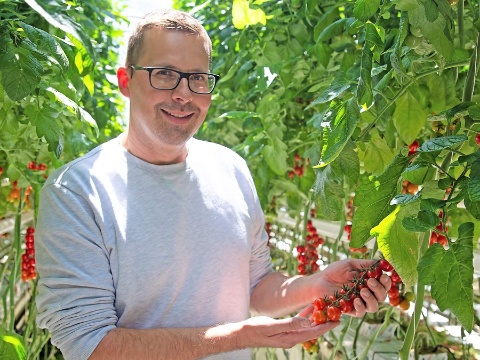Bosshard Tomaten Bosshard Tomaten