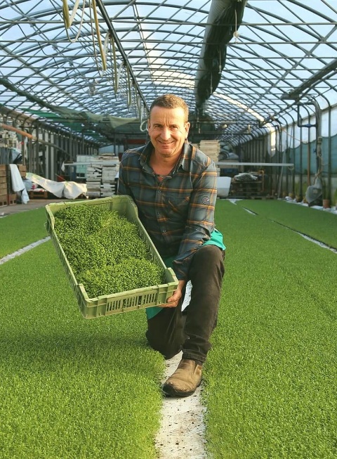 Kresse aus der Region von Andreas Eschbach