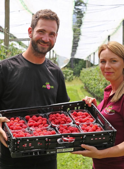 Fiechter Himbeeren