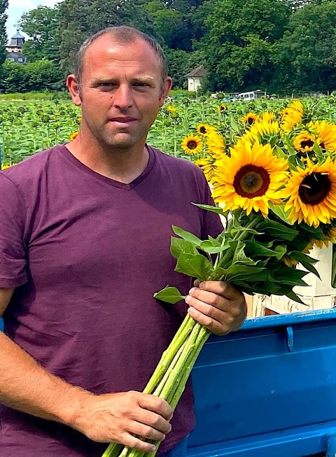AdR Sonnenblumen Bäumlihof