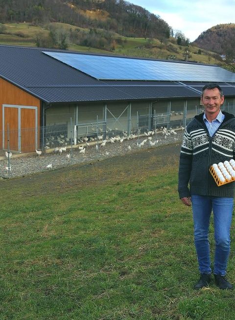 Eier aus Rothenfluh