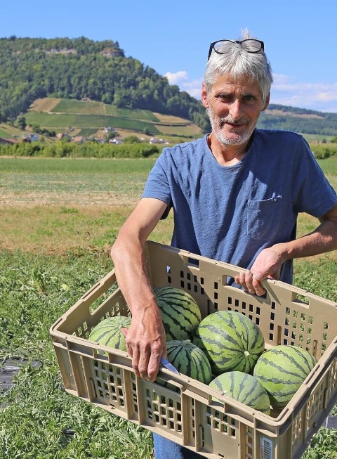 Schwarz-Zurkinden Wassermelonen